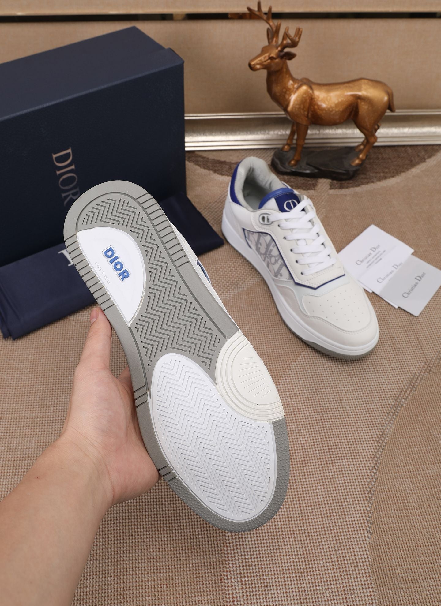 CD B27 Low Top Oblique Sneaker 1825052704