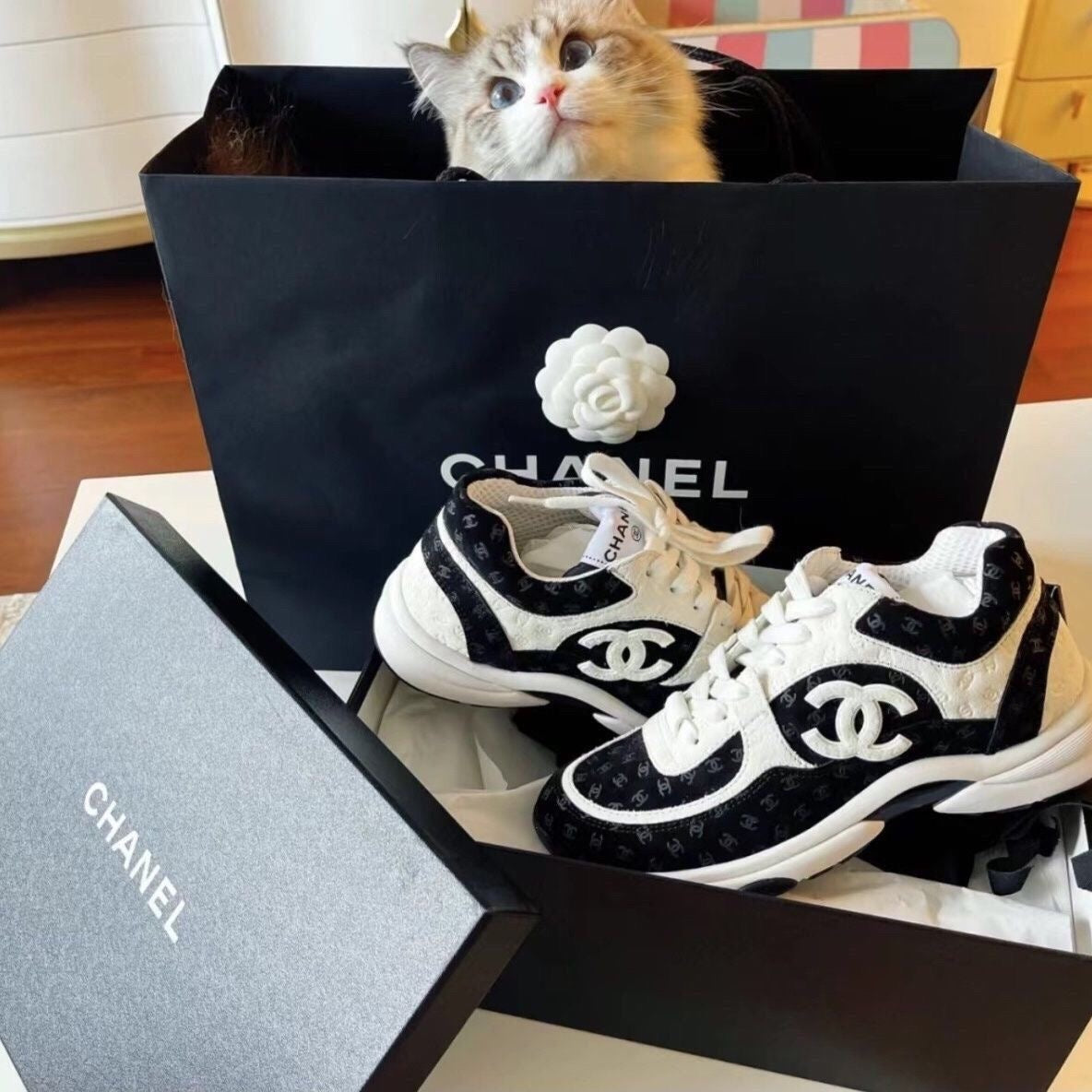 2023 CL new fashion casual all-match comfortable sneakers