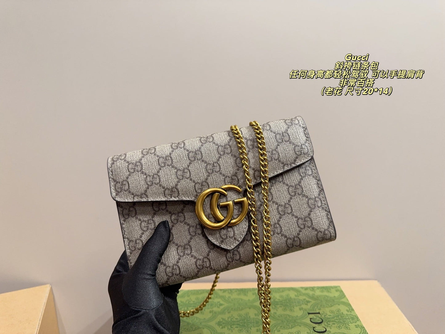 Fashionable  Bag 25090405