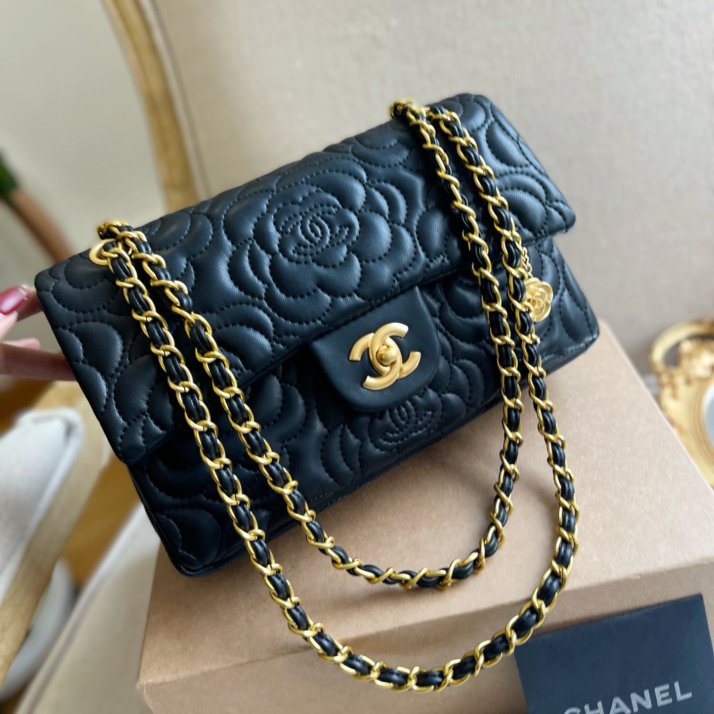 New trendy and fashionable women's bags PD10042814