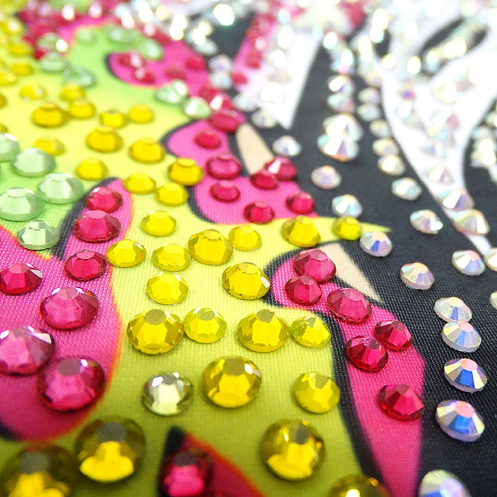 LH Rhythmic Gymnastics BD1079