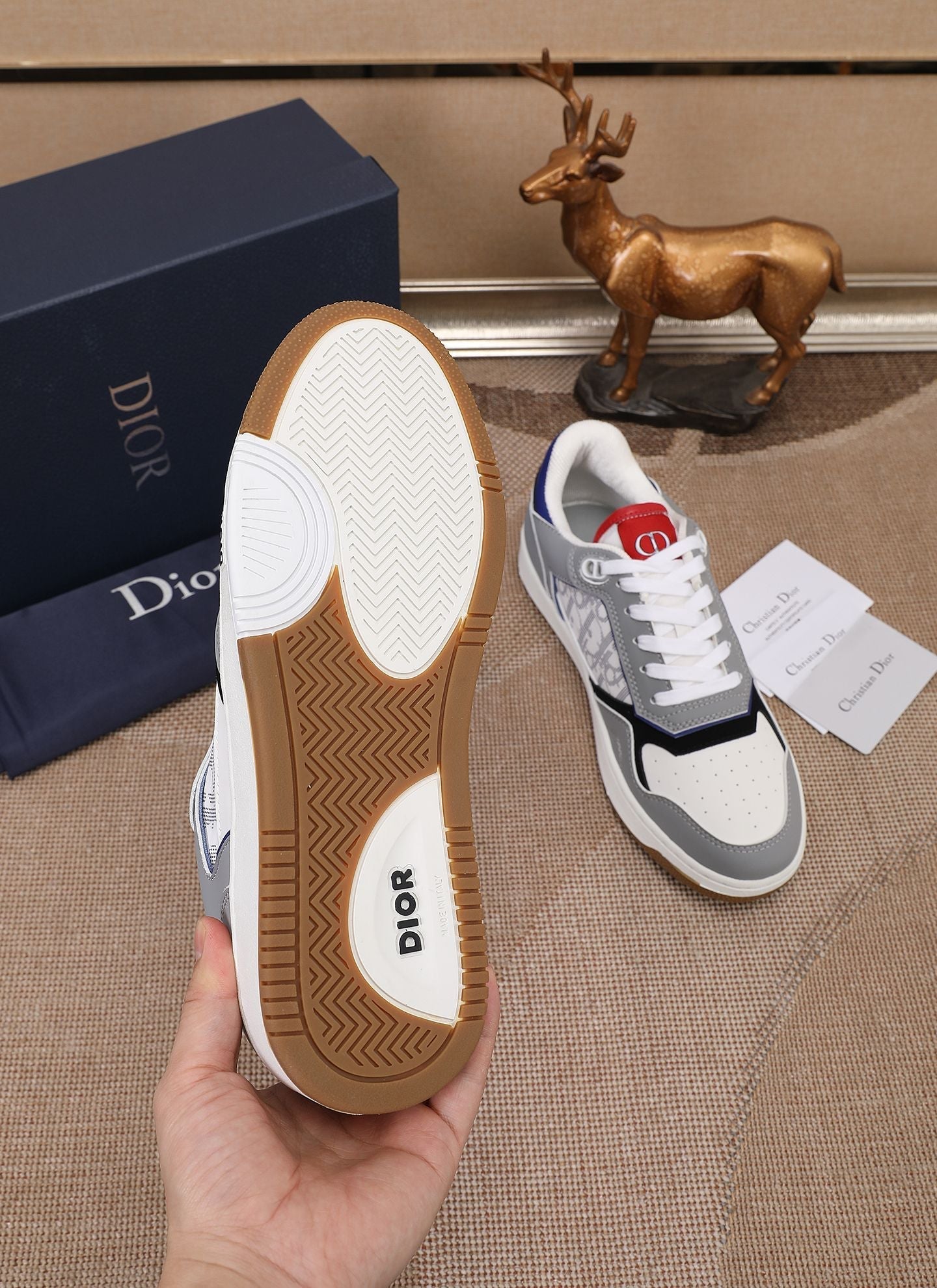 CD B27 Low Top Oblique Sneaker 1825052704