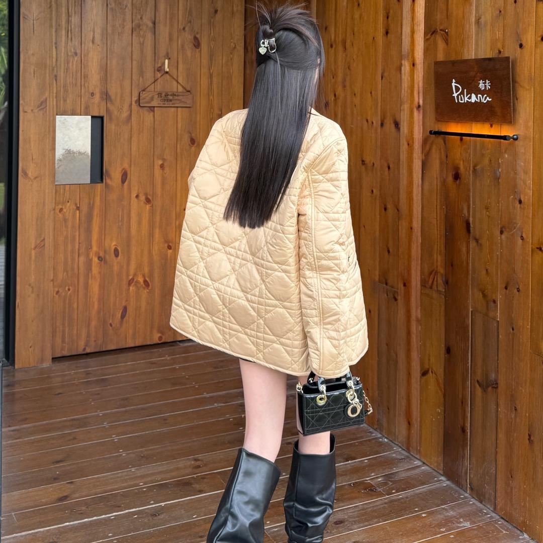 CD new women's cotton jacket 24112201