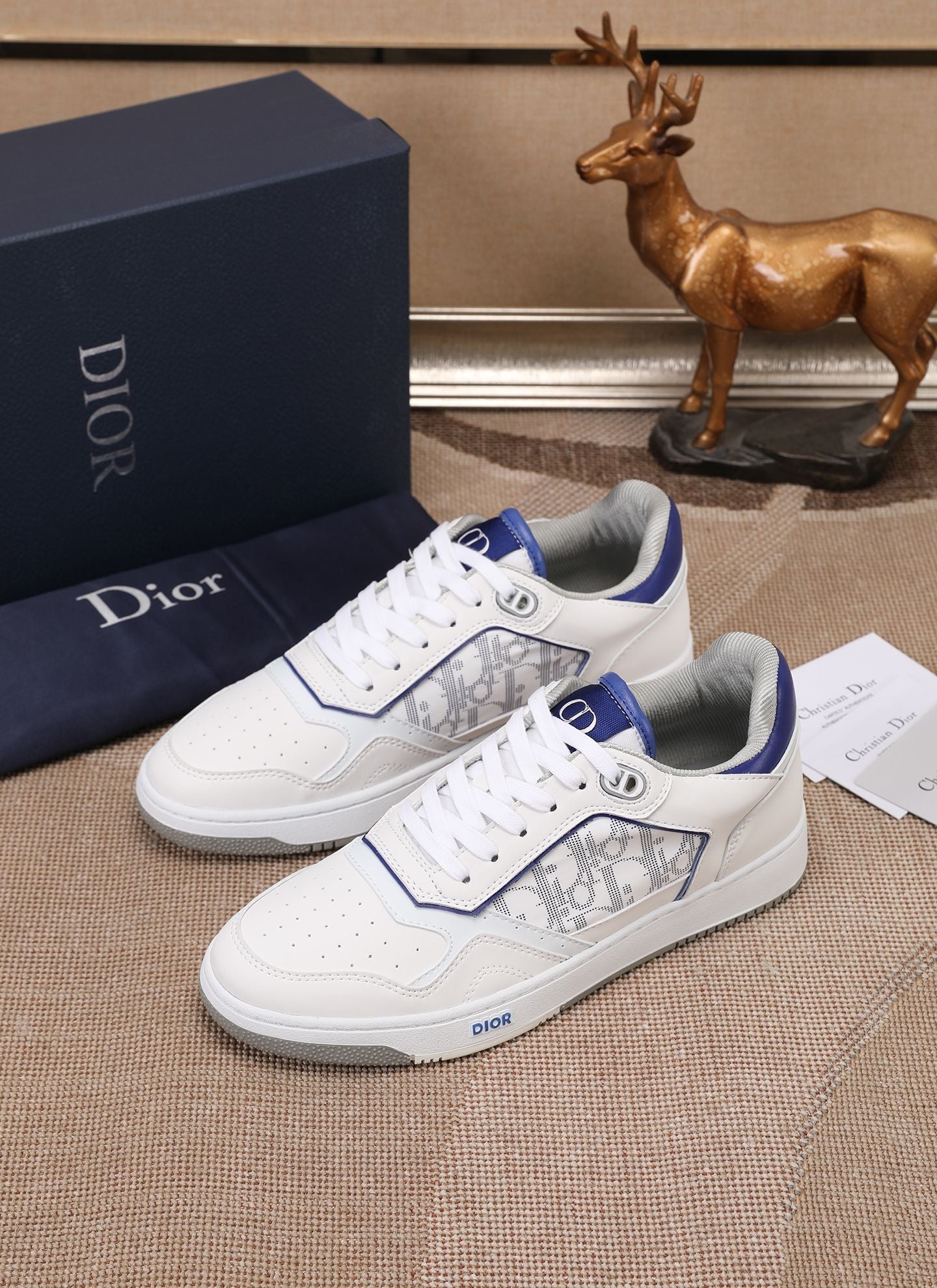 CD B27 Low Top Oblique Sneaker 1825052704