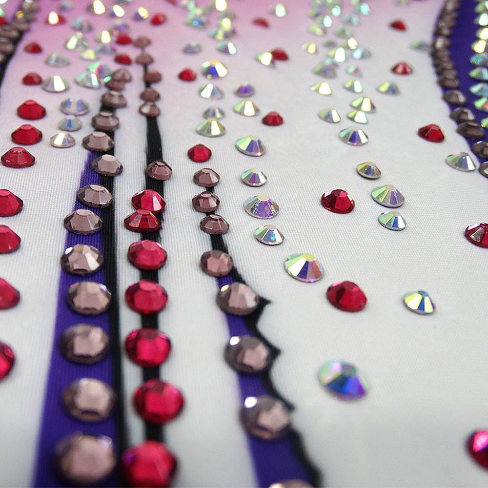 LH Rhythmic Gymnastics BD1082